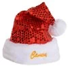 Camon Cappello Natalizio Per Cane Tg. L/ H25 Cm -Negozio Di Animali camon cappello natalizio per cane tg l h25 cm