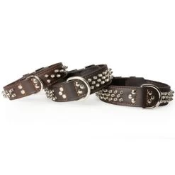 CAMON Collare In Pelle Con Borchie A Punta 40x550 Mm Per Cane