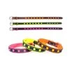 CAMON Collare Jeans FLUO Borchie Per Cane 25mm X 50cm -Negozio Di Animali camon collare jeans fluo borchie per cane 25mm x 50cm
