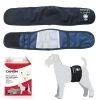 CAMON Fascia Igienica Per Cani Maschi L 56-60 Cm -Negozio Di Animali camon fascia igienica per cani maschi l 56 60 cm