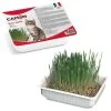 CAMON Semi Erba Per Gatti In Confezione Da 140 Gr. -Negozio Di Animali camon semi erba per gatti in confezione da 140 gr