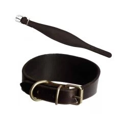 Collare In Cuoio Per Levriero Con Fibbia In Metallo Per Cane 5x33 Cm