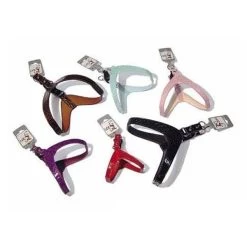 Dog Line Cocco Pettorina Extramorbida Per Cani Tg.L Circ. Torace 47cm Non Regolabile