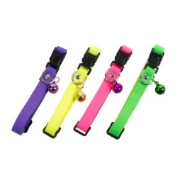 FARM COMPANY Collare Elastico Per Gatto Regolabile 10x300 Mm