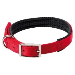 FARM COMPANY Collare In Nylon Imbottito Per Cane 15mm X 40cm