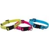 FARM COMPANY Collare In Nylon IMPRONTE Per Cane 25mm X 45-60cm -Negozio Di Animali farm company collare in nylon impronte per cane 25mm x 45 60cm