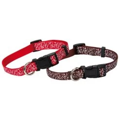 FARM COMPANY Collare In Nylon SCHOOL OF PETS Per Cane 25mm X 45-60cm