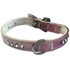 Farm Company Collare Rainbow Strass 10x250 Mm In Ecopelle Per Cane