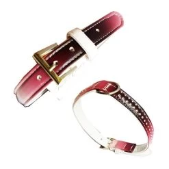 FARM COMPANY Collare Rainbow Strass Per Cane Con Strass 20x500 Mm