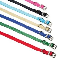 FARM COMPANY Collare Regolabile In Nylon Con Fibbia Per Cane 25 Mm X60 Cm