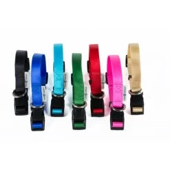 FARM COMPANY Collare Regolabile In Nylon Per Cane 10mm X 20-35cm