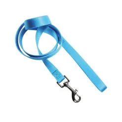 FARM COMPANY Guinzaglio In Nylon 15x1200 Mm AZZURRO Per Cane E Gatto