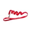 FARM COMPANY Guinzaglio In Nylon 15x1200 Mm ROSSO Per Cane E Gatto
