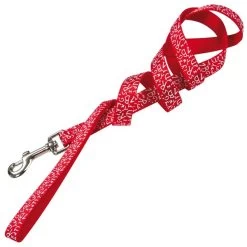 FARM COMPANY Guinzaglio In Nylon SCHOOL OF PETS 20x1200 Mm Per Cane E Gatto