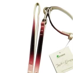 FARM COMPANY Parure Ecopelle Rainbow Strass Con Collare E Guinzaglio Per Cane Tg. M 1000x20x500 Mm