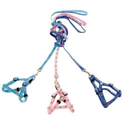 FARM COMPANY Parure In Nylon E Cotone Con Pettorina Regolabile E Guinzaglio Linea Jacquard Per Cane E Gatto 1200x10x200-350 Mm