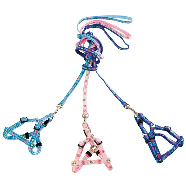 FARM COMPANY Parure In Nylon E Cotone Con Pettorina Regolabile E Guinzaglio Linea Jacquard Per Cane E Gatto 1200x10x200-350 Mm 3 FARM COMPANY Parure In Nylon E Cotone Con Pettorina Regolabile E Guinzaglio Linea Jacquard Per Cane E Gatto 1200x10x200-350 Mm