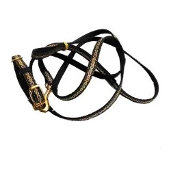 FARM COMPANY Parure In Nylon E Poliestere Con Collare E Guinzaglio Per Cane E Gatto Tg. XXS 1520x10x120-200 Mm