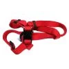 GAMMA DISTRIBUZIONE Pettorina In Nylon Per Cane ROSSO 25x710-910 Mm 1 GAMMA DISTRIBUZIONE Pettorina In Nylon Per Cane ROSSO 25x710-910 Mm -Negozio Di Animali gamma distribuzione pettorina in nylon per cane rosso 25x710 910 mm