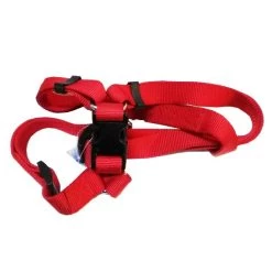 GAMMA DISTRIBUZIONE Pettorina In Nylon Per Cane ROSSO 25x710-910 Mm