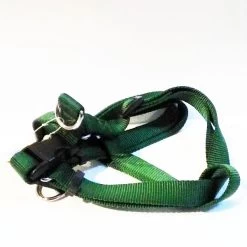GAMMA DISTRIBUZIONE Pettorina In Nylon Per Cane VERDE SCURO 20x500-710 Mm