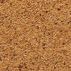 ITALMIX COCORITE Mangime Per Cocorite Da 25 Kg