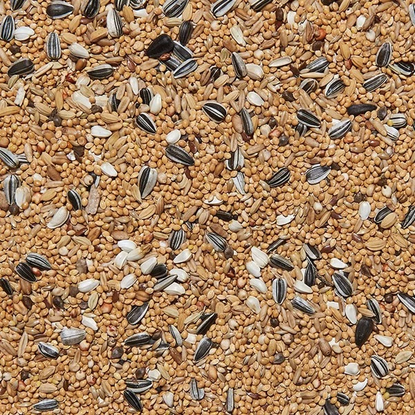 ITALMIX PARROCCHETTI INSEPARABILI AUSTRALIANI Mangime Da 25 Kg 3 ITALMIX PARROCCHETTI INSEPARABILI AUSTRALIANI Mangime Da 25 Kg