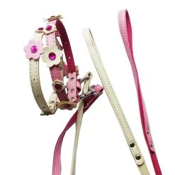 LARIUS Parure In Ecopelle E Scamosciato Con Collare E Guinzaglio Per Cane E Gatto Tg. XS 1200x10x250-350 Mm