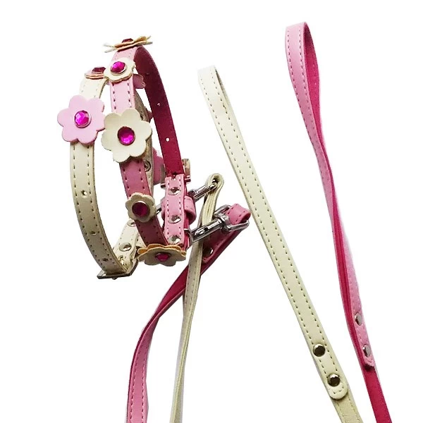 LARIUS Parure In Ecopelle E Scamosciato Con Collare E Guinzaglio Per Cane E Gatto Tg. XS 1200x10x250-350 Mm 3 LARIUS Parure In Ecopelle E Scamosciato Con Collare E Guinzaglio Per Cane E Gatto Tg. XS 1200x10x250-350 Mm