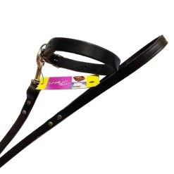 LARIUS Parure In Pelle Con Collare E Guinzaglio Per Cane Tg. S 1200x15x280-400 Mm