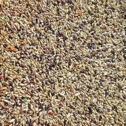 Misto Speciale Canarini Complete Mangime Sfuso In Conf. Da 800gr