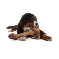 Osso Di Prosciutto Maxi Per Cane Da 330-390 Gr