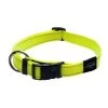 ROGZ Collare In Nylon FLUO Per Cane 10mm X 20-31cm -Negozio Di Animali rogz collare in nylon fluo per cane 10mm x 20 31cm