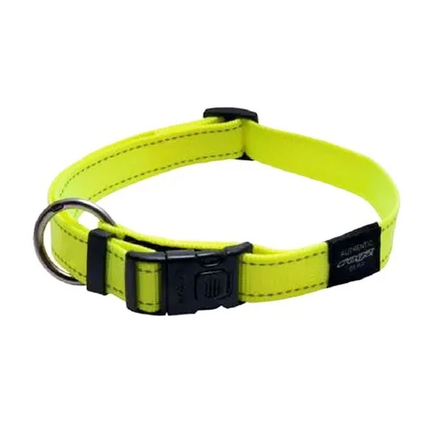 ROGZ Collare In Nylon FLUO Per Cane 10mm X 20-31cm 3 ROGZ Collare In Nylon FLUO Per Cane 10mm X 20-31cm