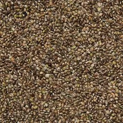 Semi Di Canapuccia Sfusi In Conf. Da 800gr