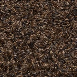 Semi Di Girasole Nero Piccolissimo Sfusi In Conf. Da 800gr