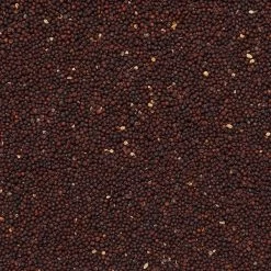 Semi Di Ravizzone Sfusi In Conf. Da 800gr