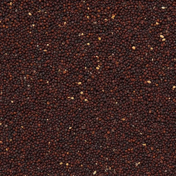 Semi Di Ravizzone Sfusi In Conf. Da 800gr 3 Semi Di Ravizzone Sfusi In Conf. Da 800gr