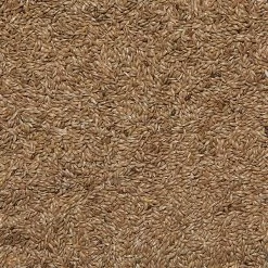 Semi Di Scagliola Canadese Sfusi In Conf. Da 800gr