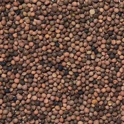 Semi Di Veccia Sfusi In Conf. Da 800gr