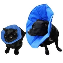 Softe Smart Collar Tg.1 16-25 Cm Collare Elisabettiano Imbottito Per Cane O Gatto