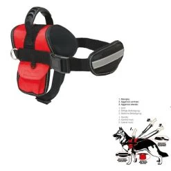 SWAT Pettorina Cane Resistente Imbottita Con Guinzaglio E Maniglia 41-52 Cm