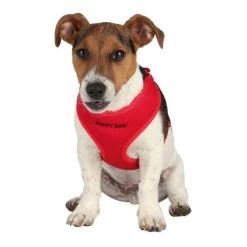 TRIXIE Parure In Nylon E Tessuto Traspirante Con Pettorina Regolabile E Guinzaglio Per Cane E Gatto 2000x10x330-470 Mm