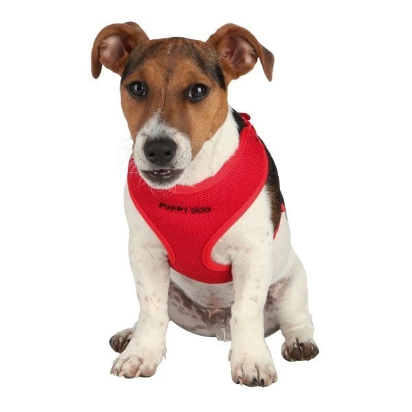 TRIXIE Parure In Nylon E Tessuto Traspirante Con Pettorina Regolabile E Guinzaglio Per Cane E Gatto 2000x10x330-470 Mm 3 TRIXIE Parure In Nylon E Tessuto Traspirante Con Pettorina Regolabile E Guinzaglio Per Cane E Gatto 2000x10x330-470 Mm