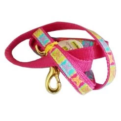 UP COUNTRY Butterfly Guinzaglio Con Collare Per Cane 15x1200 Mm Tg.S In Nylon