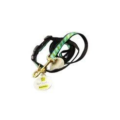 UP COUNTRY Green Light Guinzaglio Con Collare Per Cane 25x1200 Mm Tg.M In Nylon