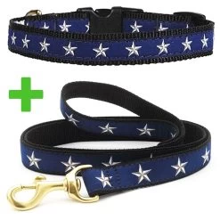UP COUNTRY North Star Guinzaglio Con Collare Per Cane 25x1200 Mm Tg.L In Nylon