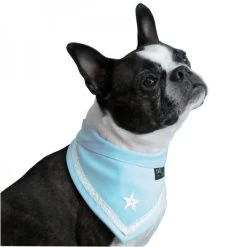 Versilia Bandana Per Cane In Cotone Tg. L/45-51 Cm Azzurra