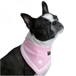 Versilia Bandana Per Cane In Cotone Tg. L/45-51 Cm Rosa