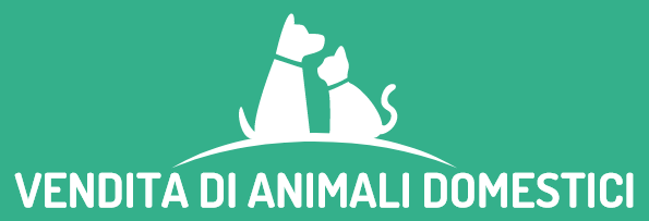 Negozio Di Animali